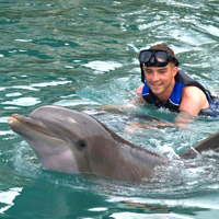 Dolphin Quest Ultimate Adventure