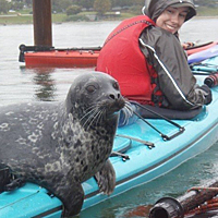 Guided Kayaking Tour of Vancouver
