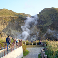 Yangmingshan National Park and Hot Spring Tour