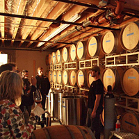 Willamette Valley Wine Trail