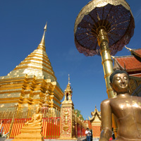 Private Half-Day Tour of Phu Ping Palace and Wat Prathat Doi Suthep Temple