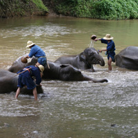 Private Full-Day Chiang Dao Hill Tribes Tour