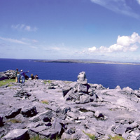 Cliffs of Moher Day Tour from Dublin