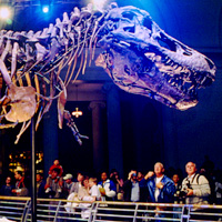 Field Museum