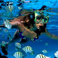 Glass-Bottom Boat Cruise