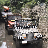 Island Jeep Adventure