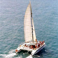 Luxury Catamaran Cruise and Snorkeling