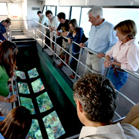 Glass Bottom Boat Tour