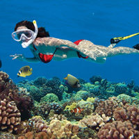 Afternoon Snorkeling Adventure