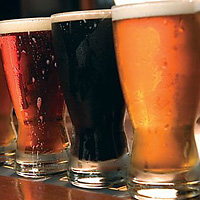 Small-Group Brussels Beer Tasting Tour