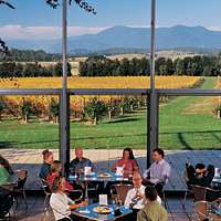 Hot Air Ballooning over Yarra Valley with Winery Tour