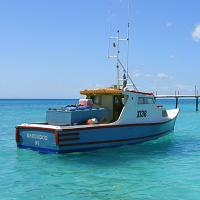 Beautiful Barbados