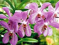 Natural Wonders Sightseeing Tour