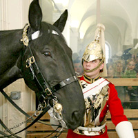 Guided Sightseeing Tours of London (Holiday Season)