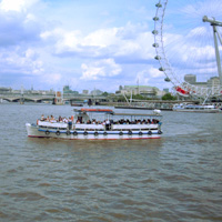 Total London Experience-London Eye, Thames River