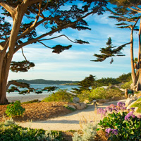 Monterey, Carmel, and 17-Mile Drive Tour