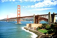 City Highlights, Sausalito, and Muir Woods Combo