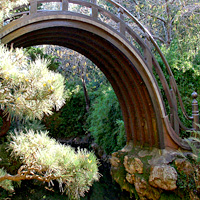 San Francisco City Tour