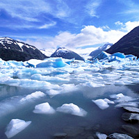 Portage Glacier Cruise (Self-Drive)