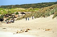 Kangaroo Island Excursion