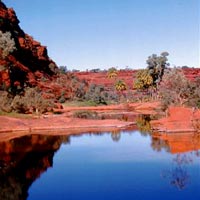 Palm Valley Excursion