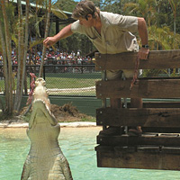 Australia Zoo via the Croc Express (from Gold Coast)