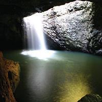 Gold Coast and Hinterland with Canal Cruise and Rainforest Walk