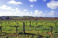 Margaret River Full-Day Tour