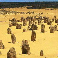 Pinnacles Desert Tour with New Norcia Visit