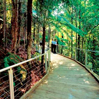 Blue Mountains and Jenolan Caves