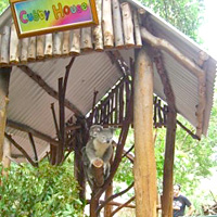 Brisbane Afternoon City Tour with Lone Pine Koala Sanctuary