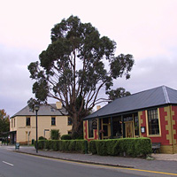 Grand Hobart Tour with Bonorong Wildlife Conservation Center Admission