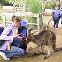 Hobart Premier Tour (City, Bonorong Wildlife, and Richmond Tour)
