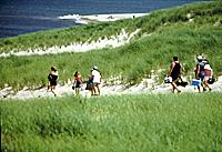 Full-Day Tour of Cape Cod