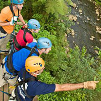 Canopy Zip-Line Adventure with Lunch