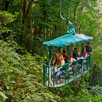 Rainforest Aerial Tram Trekking Experience Caribbean