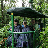 Rainforest Aerial Tram Caribbean with Optional Transfer from San Jose