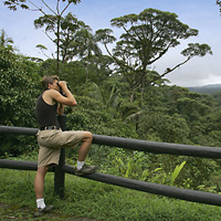 Rainforest Aerial Tram Ride and Caribbean Birding Tour
