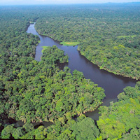 Tortuguero National Park Cruise