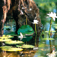 Kakadu Adventure Tour