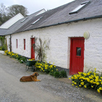 Tour of the Wicklow Mountains, Valleys, and Lakes