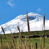 Cotopaxi National Park Tour
