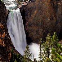 Yellowstone National Park: Lower Loop