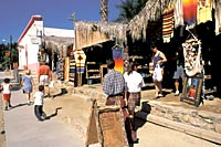 Art in the Heart of Baja: Todos Santos City Tour