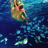 La Roqueta Island Snorkeling Tour