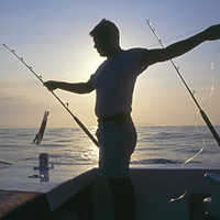 Sport Fishing in Ixtapa