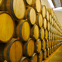Tequila Distillery Tour