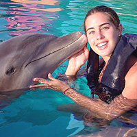 Dolphin Encounter