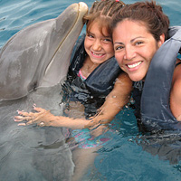 Swim with Dolphins