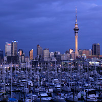 Auckland City Highlights and Sky Tower - Morning Tour